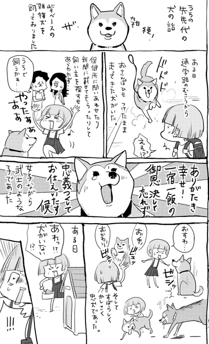 犬と猫どっちも飼ってると、時には侍すぎる子もいたりしてとても楽しい。 