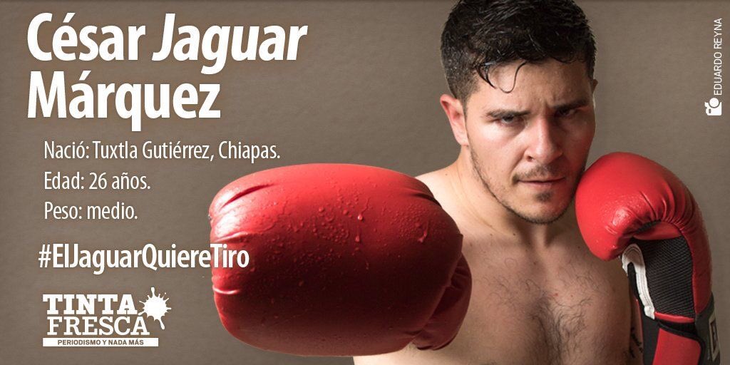 AlexaSugarpova's tweet photo. Un excelente boxeador con corazón #ElJaguarQuiereUnTiro https://t.co/QzIL4gsny1