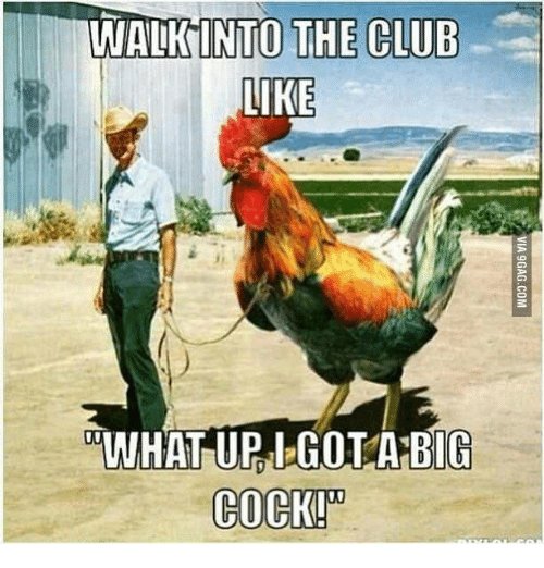 Collierclan29's tweet photo. @OfficialLivePD #LivePDNation. #LivePD #hejustwentthere #cockfighting https://t.co/LunYgwYtvX