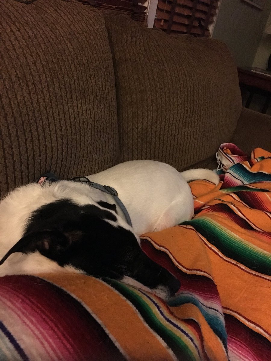 JimFitzgerald67's tweet photo. #MyForeverMemory is right now. Watching #Svengoolie with my best buddy. https://t.co/nHgUu1F9rK