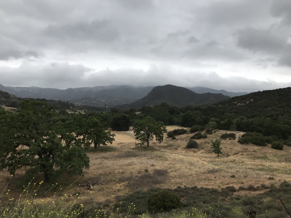 Dr_Sprinky's tweet image. Enhanced marine layer hanging over the oak savanna at Paramount Ranch in the Santa Monica Mts. Occasional drizzle. #CAwx #SMMNRA