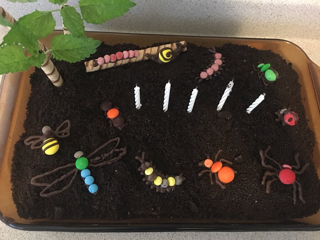 carrieseltzer's tweet photo. That time I made dozens of chocolate arthropods for my daughter’s dirt cake. #likeascientist #biodiversity https://t.co/t12rgplfNi