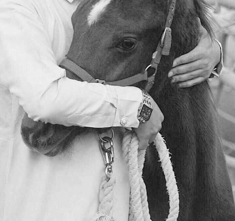 خاطري اضمك عن عيون المخاليق 
وأسكنك من زود الغلا في عيوني..💞🔕