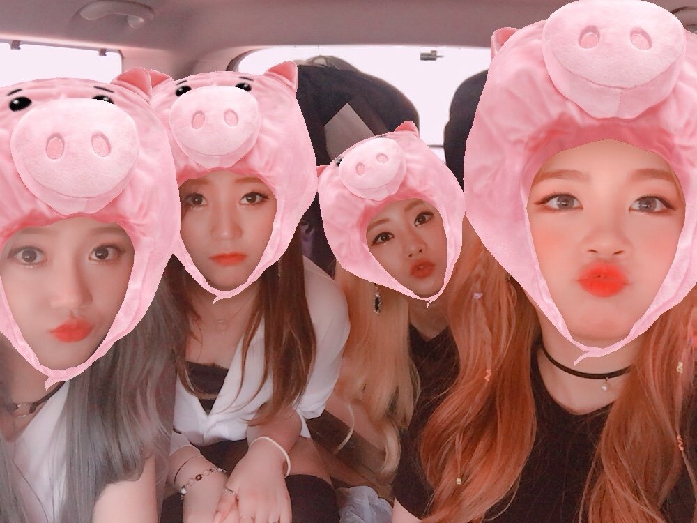 AZM_official_'s tweet photo. AZM ha~💕
저희 에이지엠은 열심히 대구로 
열심히 달려가는중이에요^^
오늘 공연은 
1.#대구경신고등학교 PM3:10 공연
2.#대구패션주얼리축제 PM6:00 공연
3.#대구동성로축제 메인무대 PM 8:00 공연
우리 열심히 즐겨봐용~  곧 만나요~💕
기다려 ..대구 대구 😘😘😘
.
.
#동성로축제 #AZM #에이지엠 https://t.co/Secom47vhv