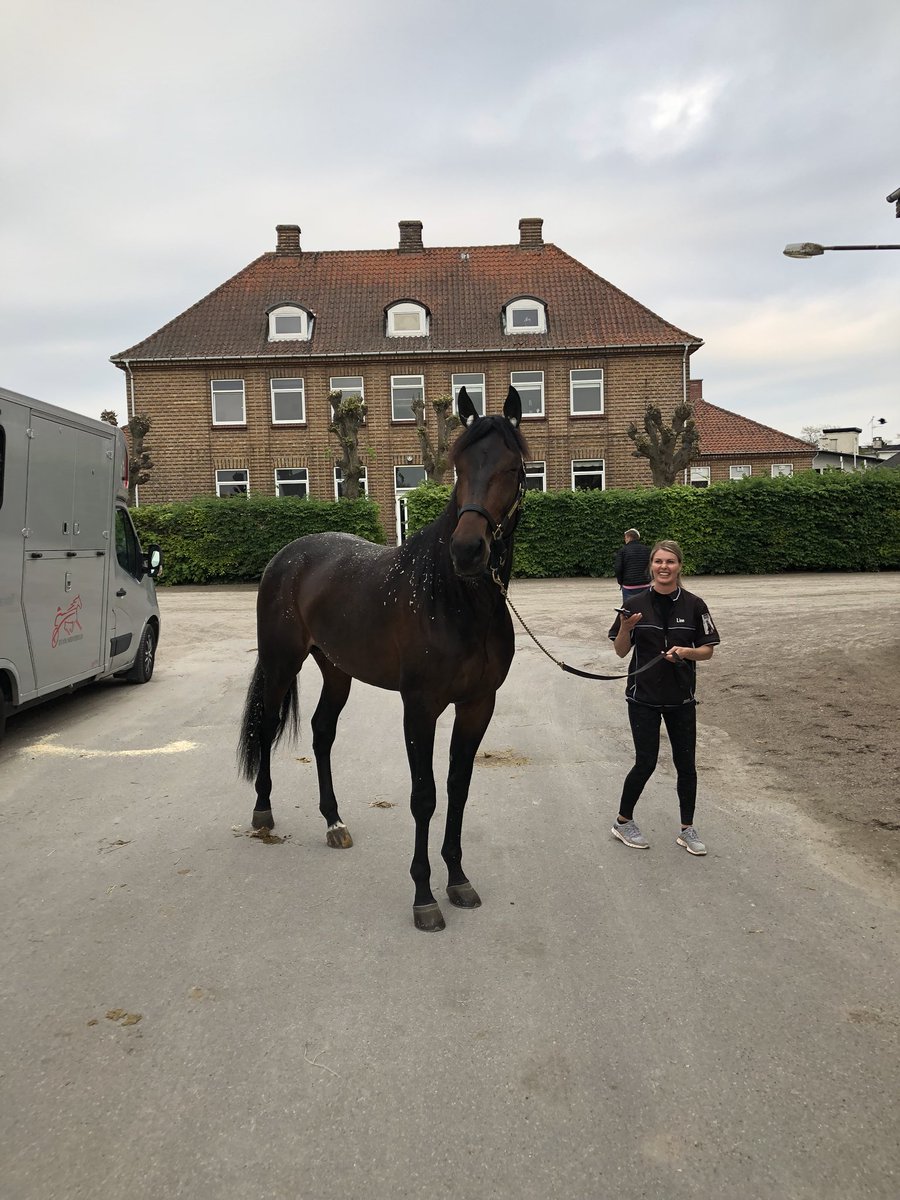 Besøk hos Ferrari B.R. da han ankom Charlottenlund Travbane 🇩🇰 lørdag kveld. Alt klart til Copenhagen Cup 2018.