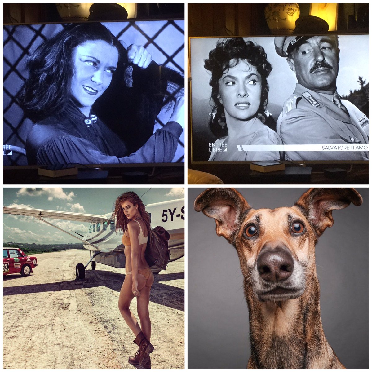 les femmes ? La première fait peur. La seconde est artificielle. la troisième est une petite conne. Mais la dernière me séduit beaucoup