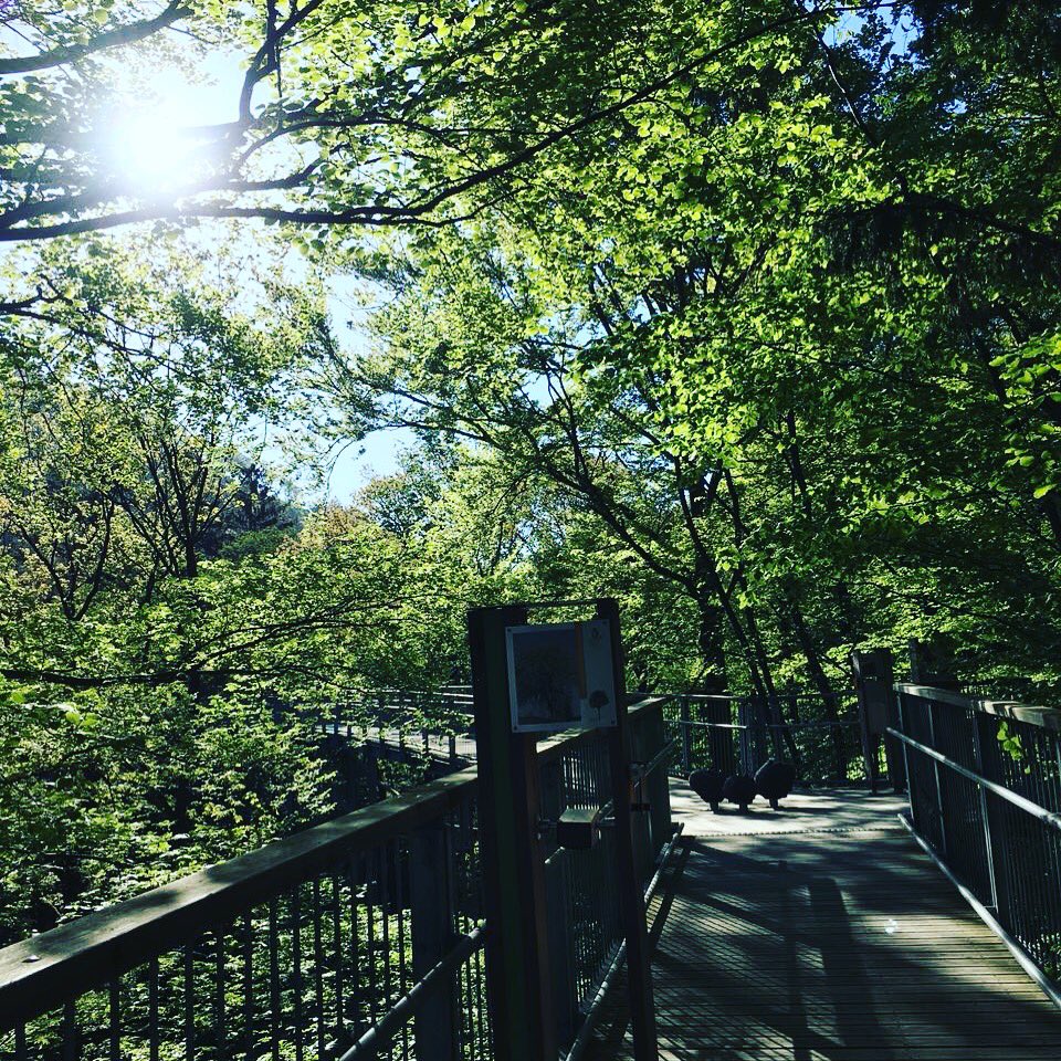 bwp_harz's tweet photo. Wundervollen #Muttertag 💕💕💕 https://t.co/9SHudig4bA