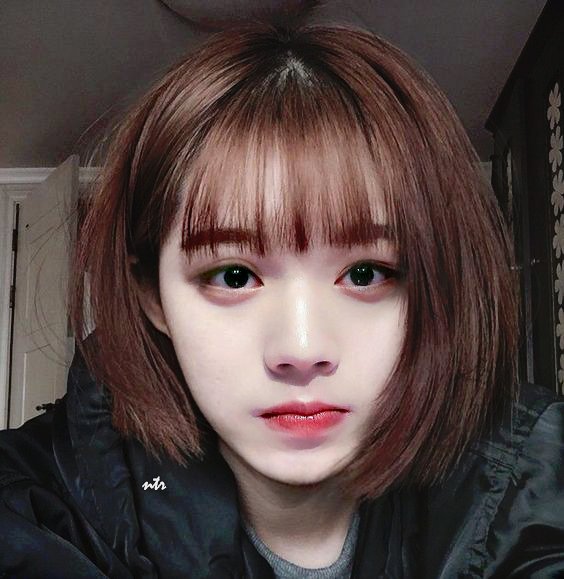 Rel On Twitter Me I Want A Short Hair Me Saw This Edit Of