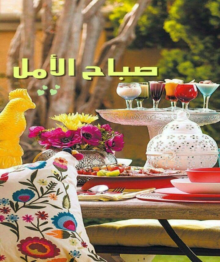 fadhalk233's tweet photo. @zezozezo399  https://t.co/XEOKQaoSpD
