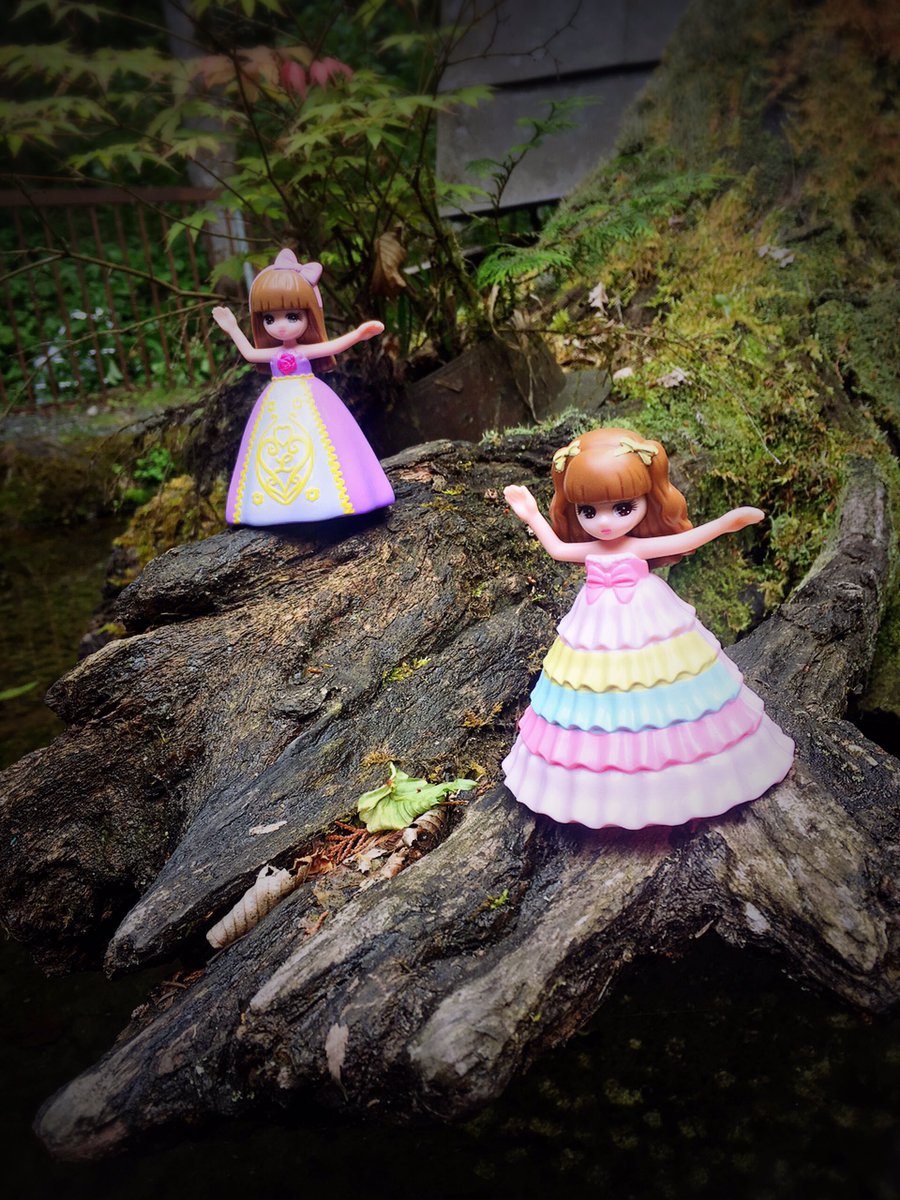 DESU.RABBITS 部長🇯🇵 on Twitter: 