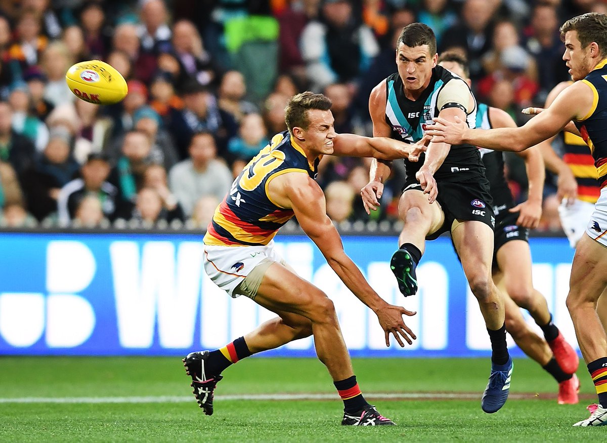 1116sen's tweet photo. Tom Rockliff opens up on the injury/fitness issues he faced at the start of the season | https://t.co/nbg47GxMeE | #AFLPowerCrows #Showdown44 #AFLFantasy #SuperCoach https://t.co/MJvtSsywKq