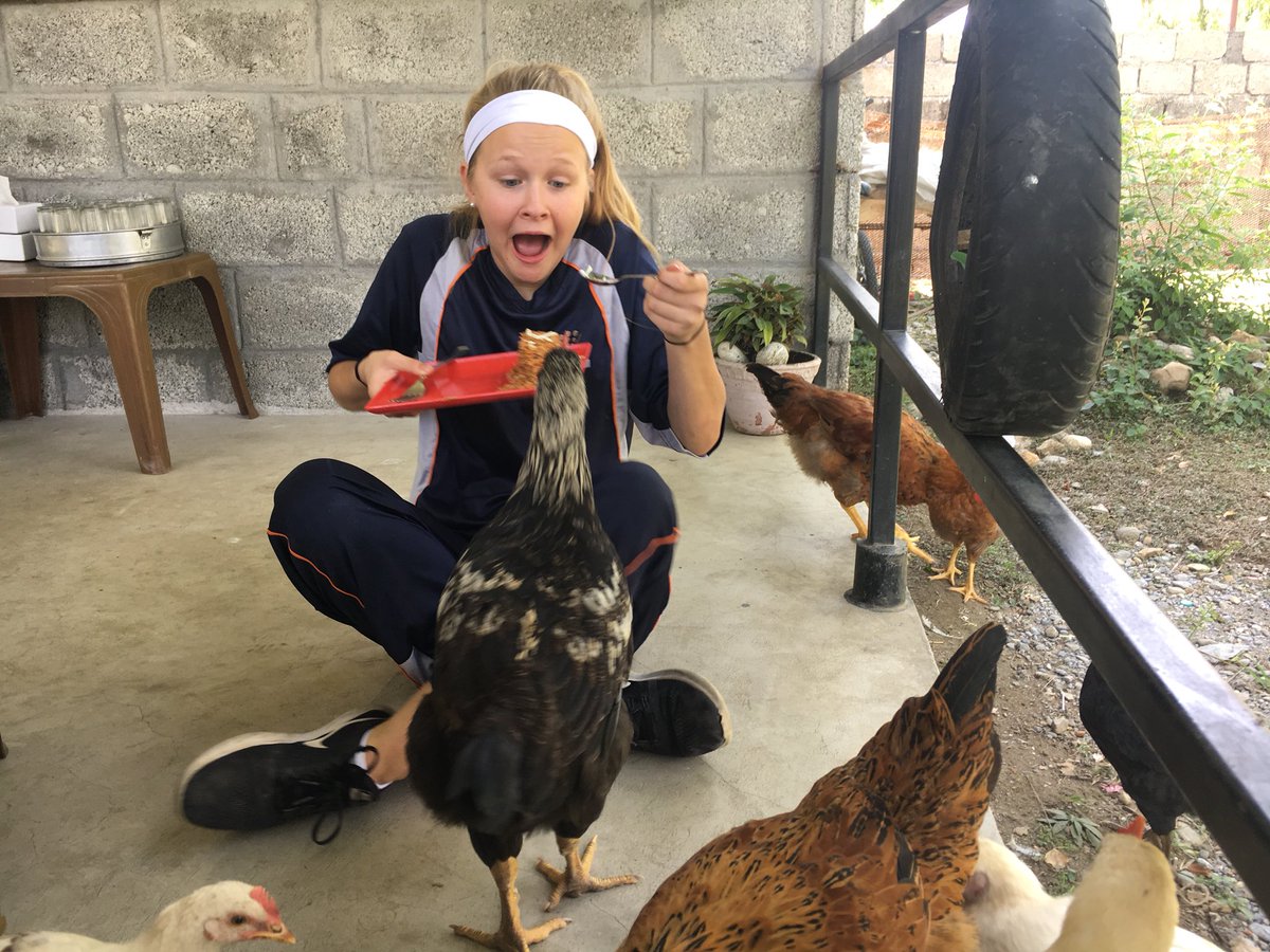 MakaylaReimer's tweet image. My sister was eating lunch at a restaurant and this happened #lifeoverseas #thisisnormal