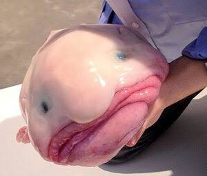 オカマのtwitterイラスト検索結果 古い順