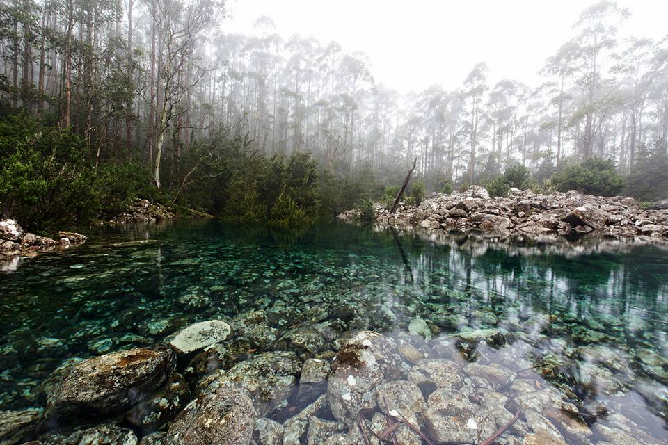 today_tasmania's tweet photo. The fabled Disappearing Tarn on kunanyi/Mt Wellington is back!!! Rarely seen photos after all the rain in Hobart this week. This bright aqua coloured mountain lake is located on the Milles Track towards Wellington Falls from The Springs #Tasmania pics: https://t.co/EKgbZtVowY https://t.co/NHmYtSOhOY