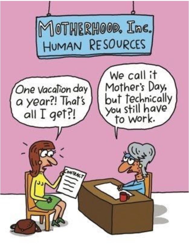 Dutch Embassy Harare 🇳🇱 tweet media