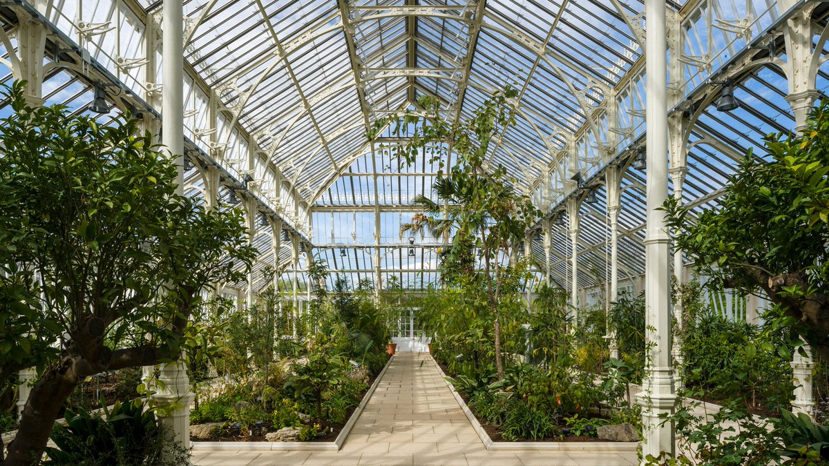 jickson_ct's tweet image. The Temperate House conservatory at Kew Gardens in London has reopened to the public following a five year restoration by Donald Insall Associates. #codingsoftware dezeen.com/2018/05/12/don…