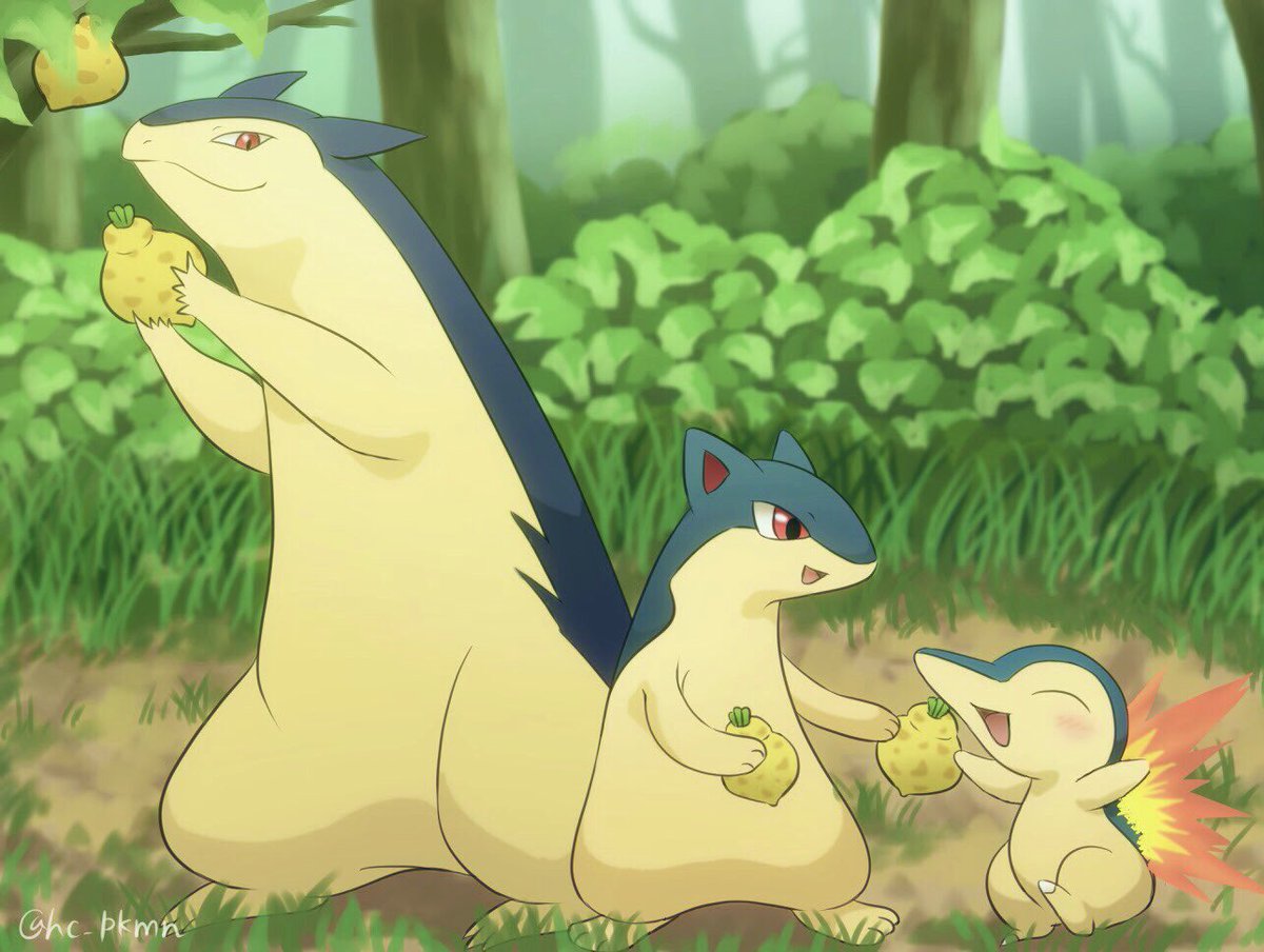 もなか お題箱からバクフーン マグマラシ ヒノアラシ描かせて頂きました 一応兄弟設定です 笑 リクエストありがとうございました