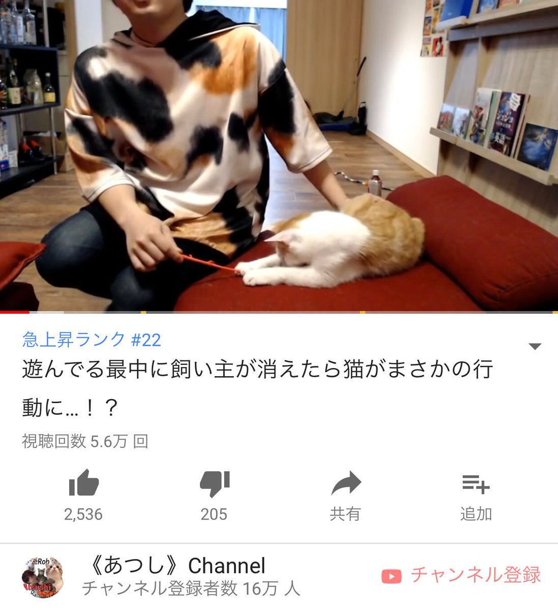 Channel あつし あつしちゃんねるの収入やアンチがヤバすぎw猫動画でボロ儲け？