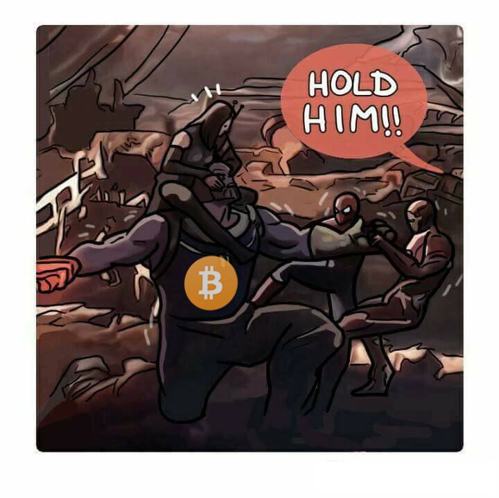 NikMiu's tweet photo. Hold #BTC #Bitcoin tightly https://t.co/lxf4pvRMHI