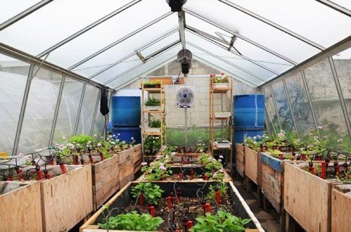 Neobab_SAS's tweet photo. Aujourd'hui, temps maussade un peu partout... profitez-en pour apprendre tout sur nos serres bioclimatique de jardin...#agricultureurbaine https://t.co/LnkejgvS1T https://t.co/TmTiCVkpjX