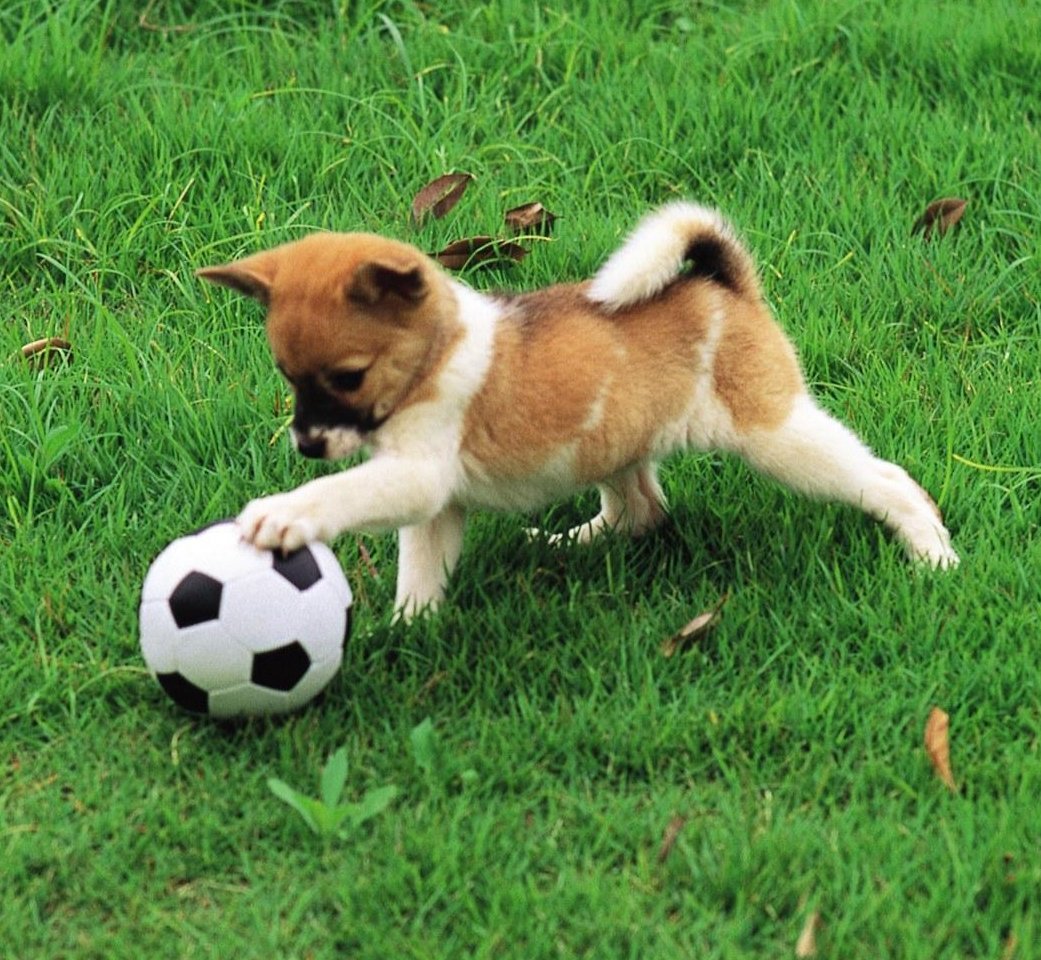 Rebecca Overy tweet media