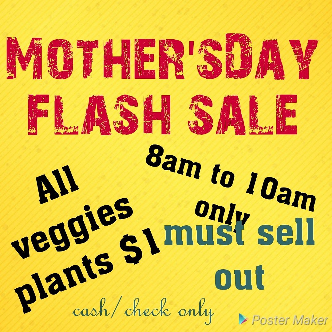 Highland FFA tweet media