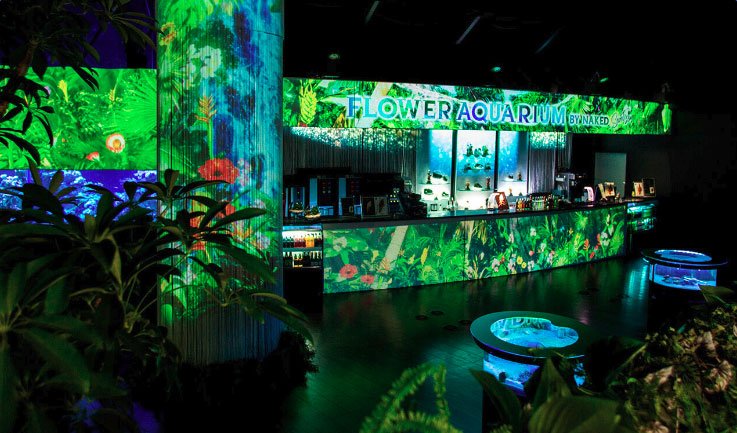 Floweraquarium Twitter Search Twitter