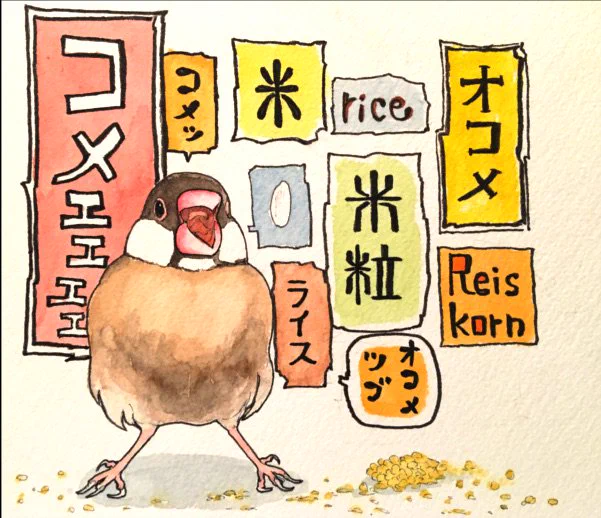 鳥の特徴をよく捕らえられているしイラストから愛嬌や感情を感じる！凄い！リアルな画風だけど見ていて程よく気が抜けるしちょっとにやける！オアシス！

 #軽率に自分を褒めていく見た人もやる 　＃愛鳥週間 