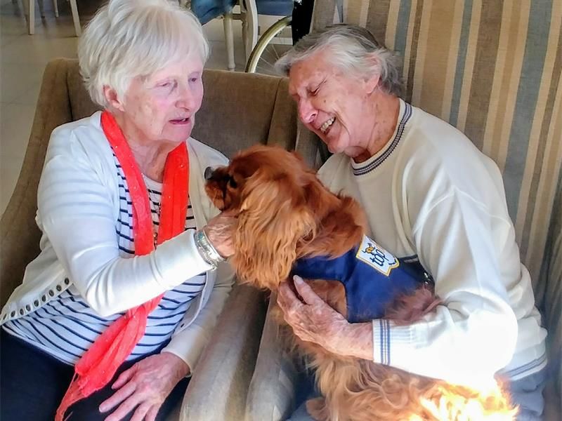 benonicitytimes's tweet photo. Fluffy tails in the frail care unit | Benoni City Times https://t.co/63wqVmz0eI

#BenoniPeople #BenoniEvents #BenoniCare #Benoni https://t.co/LKyWpAwfiG