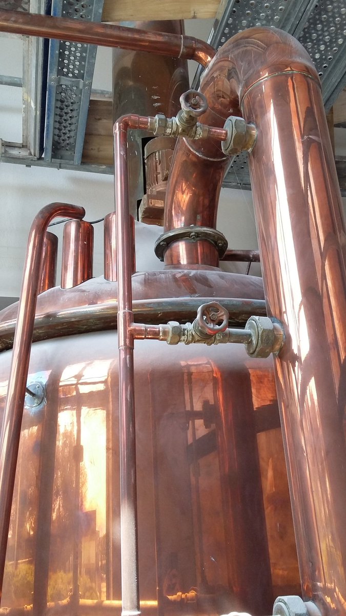 Lutterbach_Beer tweet picture