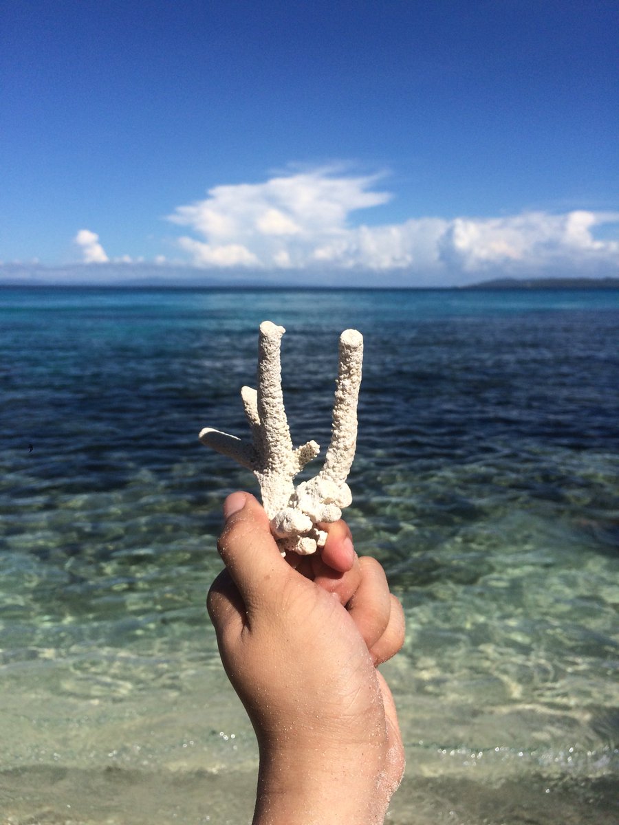 DocGorz's tweet photo. Good to be back!
#Matnog
#Sorsogon
#SubicBeach https://t.co/7k2e1eot7Y