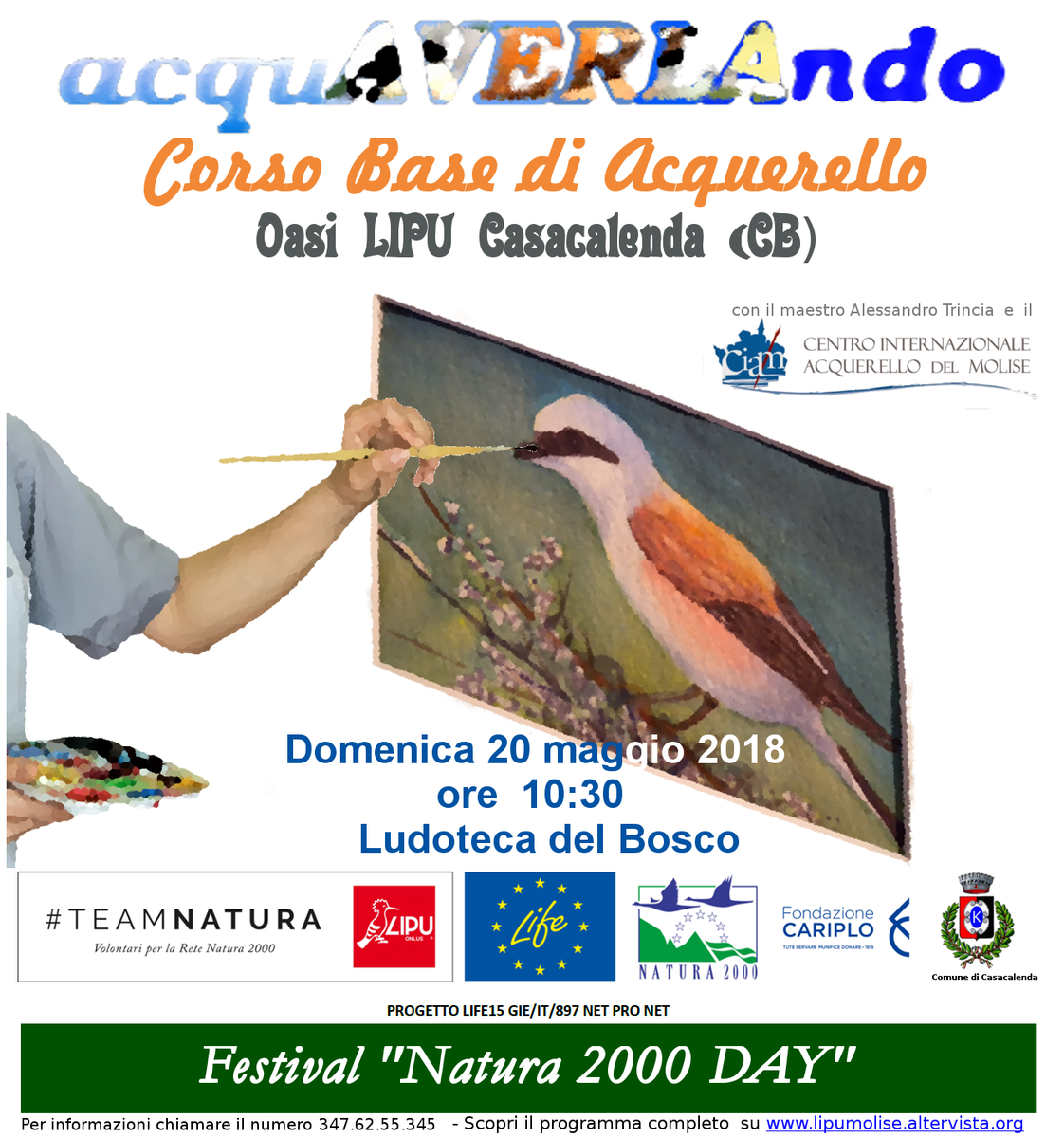 MoliseLipu's tweet photo. Vorresti imparare a realizzare una splendida Averla piccola in acquerello ? Partecipa a AcquAVERLAndo un corso gratuito per celebrare con l'Oasi LIPU Casacalenda e con il CIAM la biodiversità e il #Natura2000DAY
Per informazioni: 347.62.55.345 #TeamNatura #LIFENetProNet https://t.co/sKW7YBBkRd