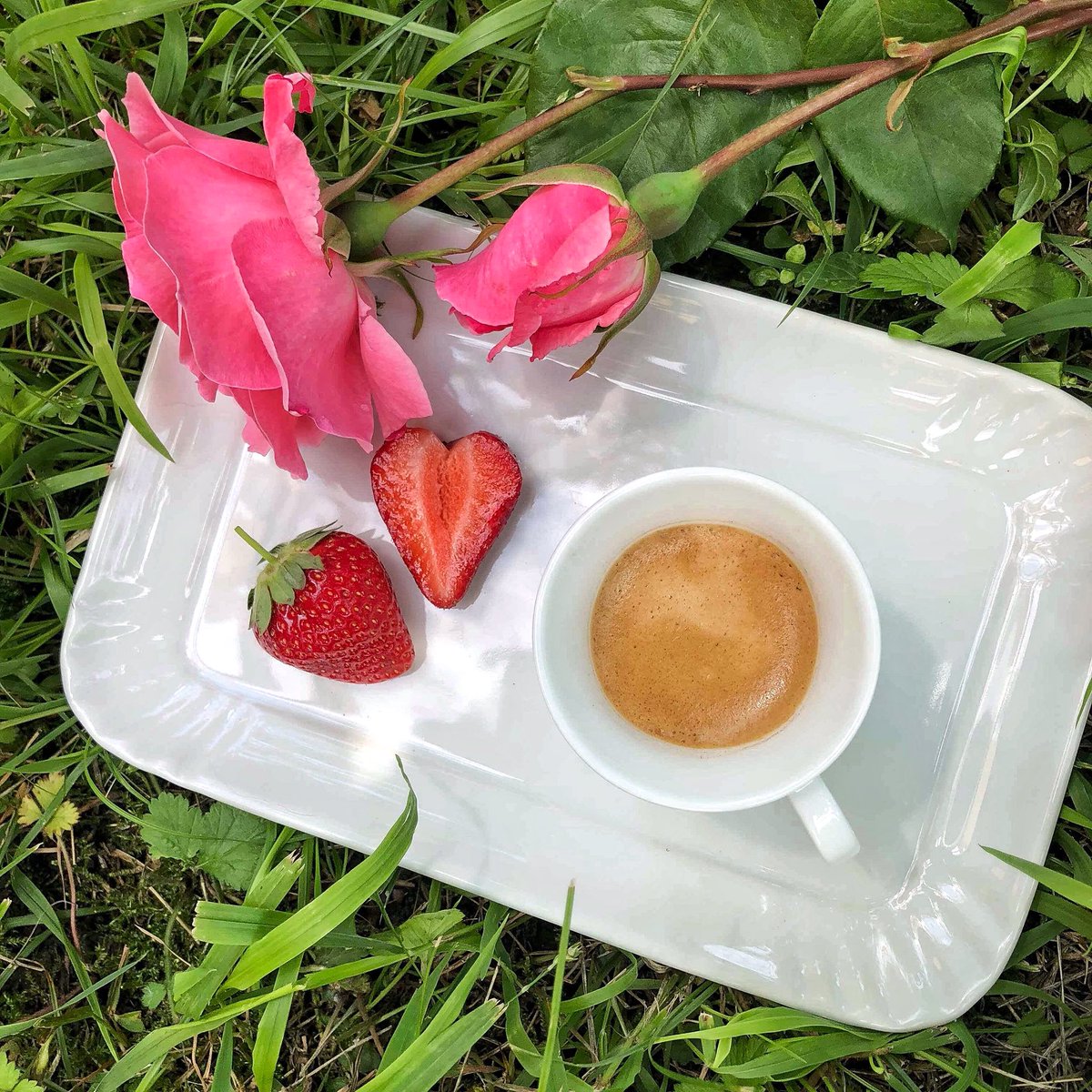 Poi ho capito, ricordando ciò che non avevo mai saputo: che per i grandi cuori che muoiono nel corpo ma che continuano a battere non ci sono canoni o bellezze regolari ma tuoni e temporali devastanti che portano ad illuminare un fiore, nascosto, di struggente bellezza #FridaKahlo