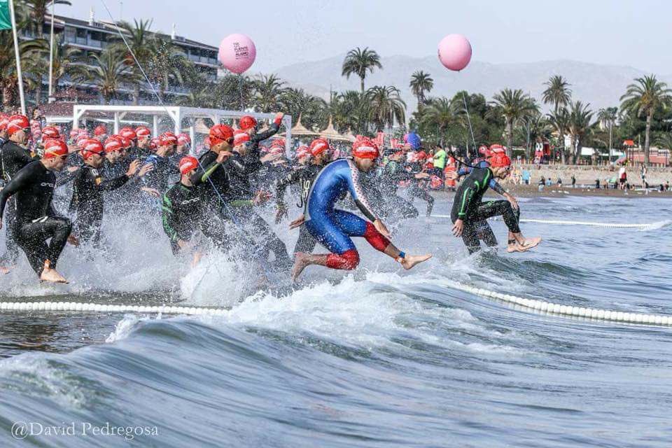 Polux Wetsuits tweet media
