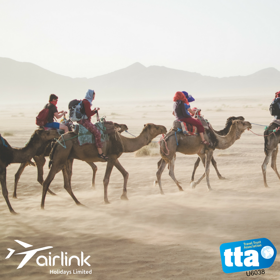 We have a range of great value packages we can tailor for you! The BEST prices guaranteed!  – Call us today to find out more ☎️ 02477 752 880
 
 💻airlinkholidays.com
 📍384 Stoney Stanton Road Coventry CV6 5DH