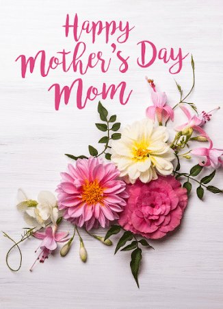 CommonManRoy's tweet photo. Happy Mother's Day to my own bundle of blessings and eternal love.wishes to all the Mother's all over world. Let us carry forward their lessons today to care for the mother of all - the Earth. #HappyMothersDay #MothersDay #mothers #MomsLoveNonStop #MomsDontGiveUp #RootOfStrength https://t.co/9mm7wyx2b3