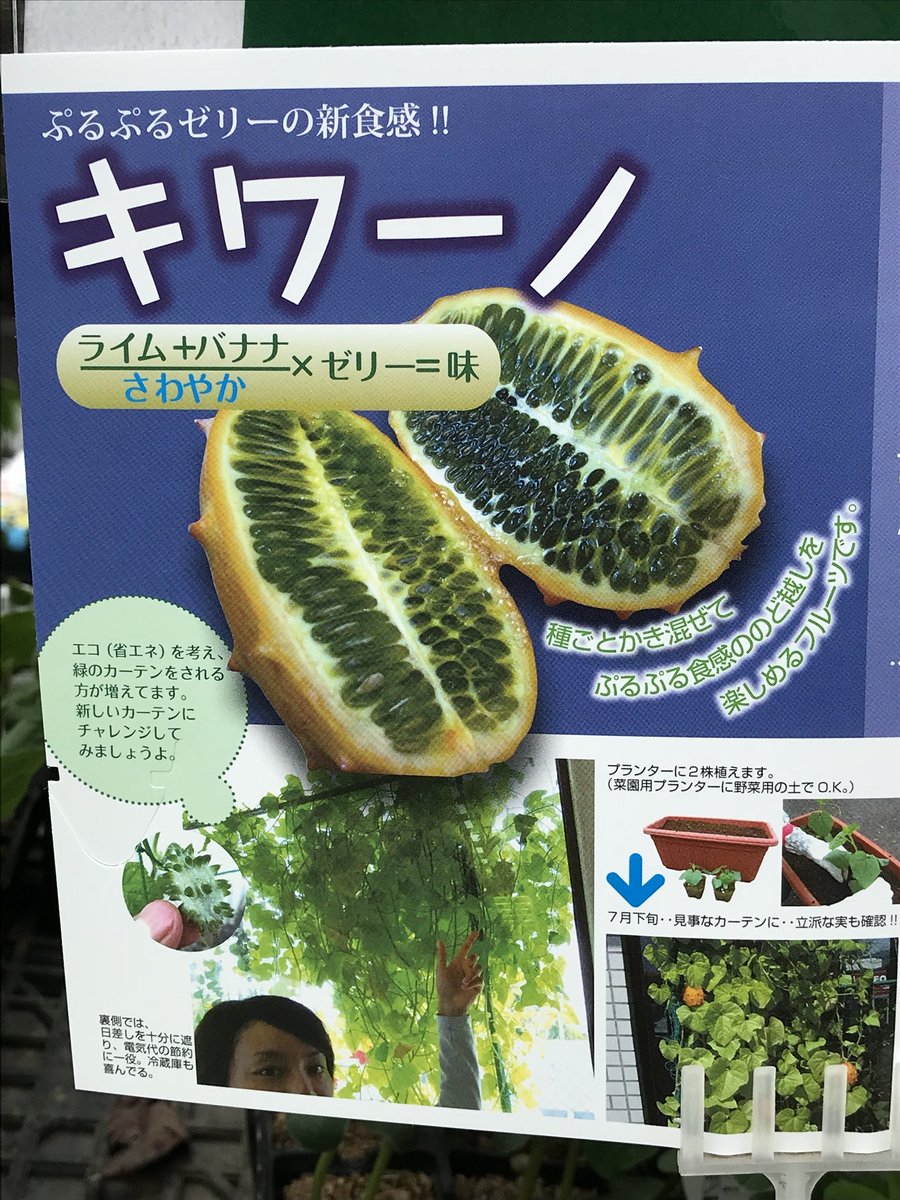 謎のフルーツの味を説明する方程式が謎すぎる さわやかで割るとは 味が気になる Togetter 謎のフルーツの味を説明する方程式が謎すぎる さわやかで割るとは 味が気になる Togetter