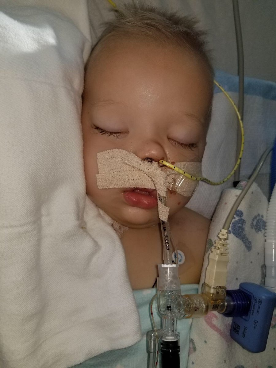 mason__merrill's tweet image. Hey friends, my baby brother is fighting for his life. We started a Go Fund Me to help my dad and his family with all this. Absolutely anything would be so greatly appreciated. Love and prayers for my little man please ❤️
