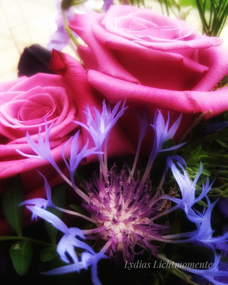 LLichtmomente's tweet photo. Ich wünsche allen Mamas einen wunderschönen Muttertag und schöne Momente mit euren Lieben! 
#mutterglück #muttertag #mothersday #glückammorgen #mutter #bestetochterderwelt #liebsterehemannderwelt #blumenglück #blumenstrauß #lieblingsfarben #farbendernatur #liebe #love #frieden https://t.co/BvOSDX1eIX