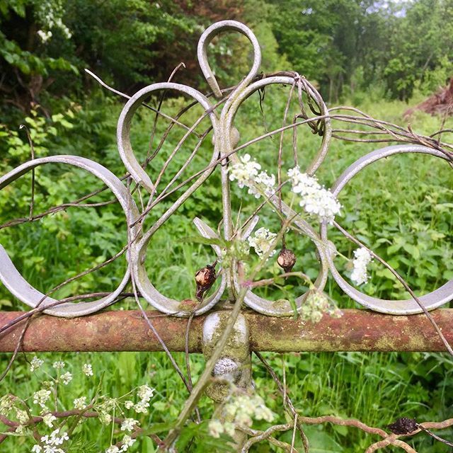 Our gates will be OPEN today from 10.00 as it’s such a lovely day! Pop along...x #opentoday #boutiqueopen #shopopen #antiquestobuy #vintagefurnitureforsale #antiquesandvintagefinds #comeandshop #seeustoday #affordablefurniture #beautifulfurniture #countr… bit.ly/2KleBBU