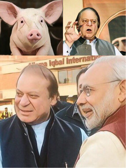 funnyvideodeose's tweet photo. Suwaar always a suwaar #NawazSharif is a traitor https://t.co/IOrJAGL58g