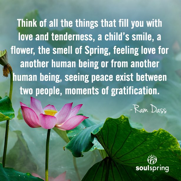 SoulSpringLife's tweet photo. Supporting Your Evolution on https://t.co/gUWKPi6eli
#SoulSpring #evolution #soul #mothersday #ramdass https://t.co/GykLTXo1Ux