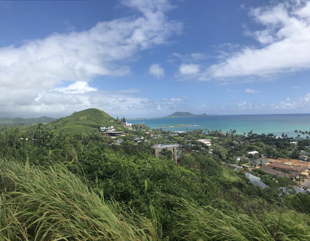 DireTimesPod's tweet photo. Hey it’s Jesse! I’m in Hawaii and therefore won’t be in this week’s episode... but the guys brought in special guest and premium shit head @Brayd0 gaming. This one will be one for the ages I’M SURE. Monday can’t come soon enough... https://t.co/axTg806nBL