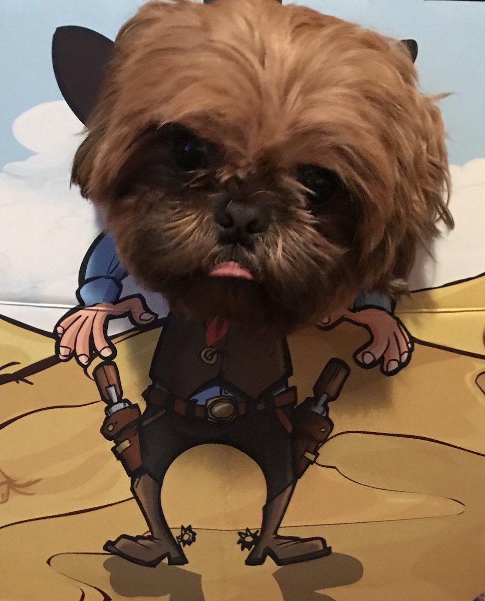 bluearmy06's tweet photo. My dog barneys pretending to enjoy himself! @zbos https://t.co/FBCZbuL5Hx