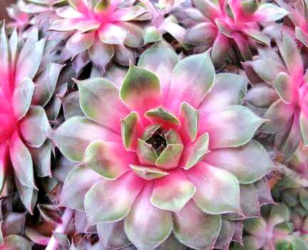 <a href="/usjen1/">usjen</a> Bonjour,🌺🌹