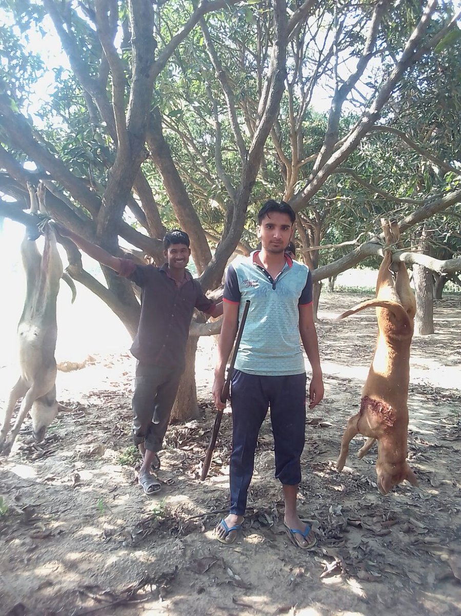allanSarkar's tweet photo. Look at their faces no remorse at all. How proud they feel killing these innocent community dogs so mercilessly. Coz they knew taking laws into their hands won't cost a thing to them. Who is going to take action against them???
#JusticeforSitapurDogs
#saveSitapurDogs https://t.co/NGJiENVAOb
