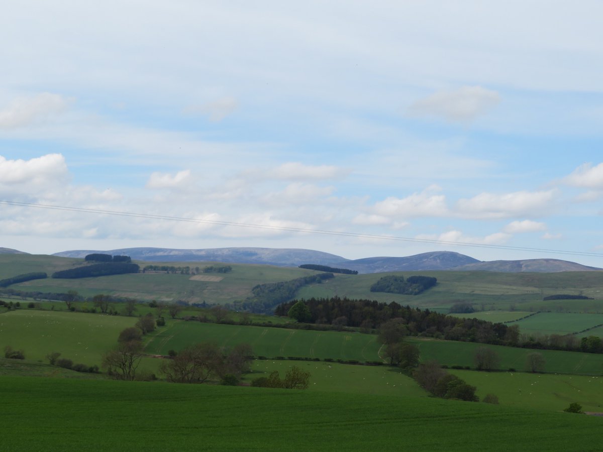 Keith Hann tweet media