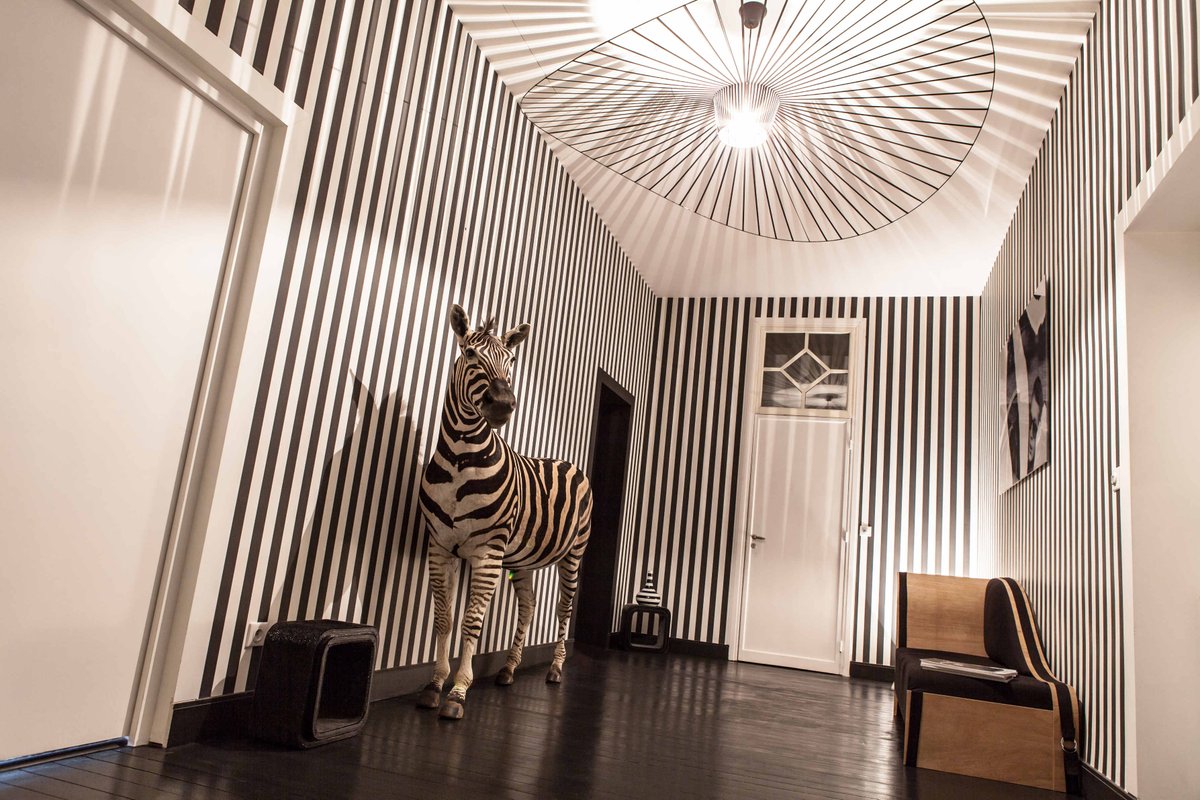 Pénétrez dans l'univers raffiné et déroutant de la VillaPaula, où les chambres d’hôtes luxueuses côtoient des animaux de la savane.
L'interview c'est ici : bit.ly/2KY4gwS
#hotels #startup #animaux #foodtech 
Poke : <a href="/vilainesfilles/">les vilaines filles</a> &amp; <a href="/LilleConf/">Lille Confidential</a>