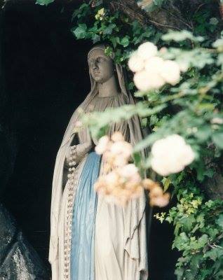 NALVolunteers's tweet photo. In honor of Our Blessed Mother and #MothersDay , we pray:
Remember,
O most gracious Virgin Mary,
that never was it known that any one who fled to thy protection,
implored thy help or sought thy intercession,
was left unaided.  For full prayer, go to
https://t.co/hVJZ4TcmtZ https://t.co/UBGSDnXkWO