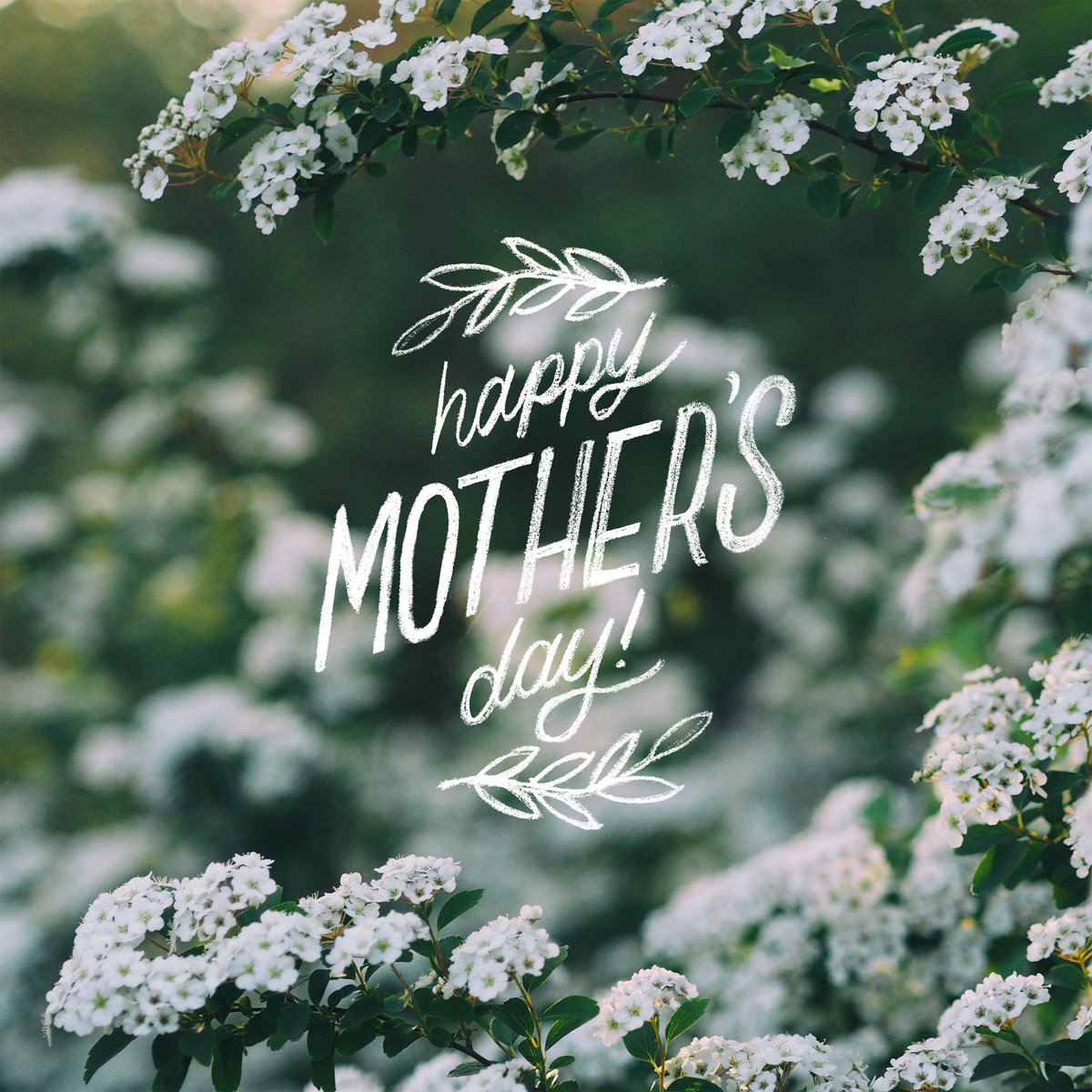 FBC Wichita Falls tweet media